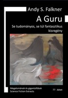 Andy S. Falkner: A guru